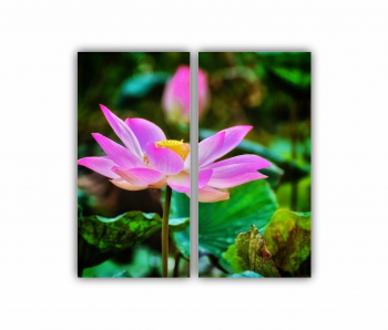 Set 2 Tablouri Multicanvas Floarea de lotus 0277 80X80 cm 