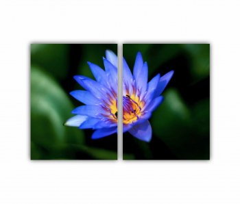 Set 2 Tablouri Multicanvas Floarea de lotus 0278 180X120 cm