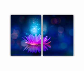 Set 2 Tablouri Multicanvas Floarea de lotus 0279 120X80 cm 