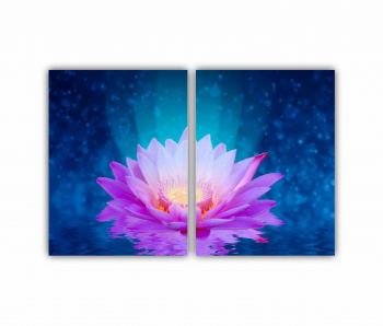 Set 2 Tablouri Multicanvas Floarea de lotus 0280 120X80 cm 