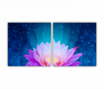 Set 2 Tablouri Multicanvas Floarea de lotus 0280 160X80 cm 