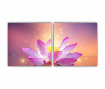 Set 2 Tablouri Multicanvas Floarea de lotus 0281 160X80 cm 