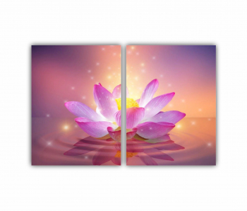 Set 2 Tablouri Multicanvas Floarea de lotus 0281 180X120 cm 