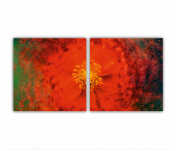 Set 2 Tablouri Multicanvas Flori art 2 0189 160X80 cm 