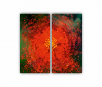 Set 2 Tablouri Multicanvas Flori art 2 0189 80X80 cm 