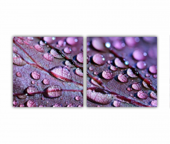 Set 2 Tablouri Multicanvas frunze cu apa 0509 160X80 cm 