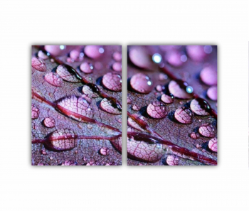 Set 2 Tablouri Multicanvas frunze cu apa 0509 180X120 cm 