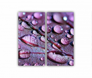 Set 2 Tablouri Multicanvas frunze cu apa 0509 80X80 cm 