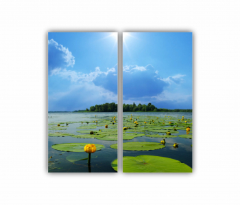 Set 2 Tablouri Multicanvas Relaxare Spa 0872 80X80 cm 