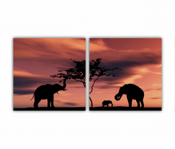 Set 2 Tablouri Multicanvas Siluete de elefant negru langa un rau 0653 160X80 cm 