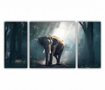 Set 3 Tablouri Multicanvas Elefant 0395 120X60 cm 