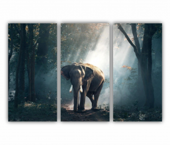 Set 3 Tablouri Multicanvas Elefant 0395 180X120 cm 