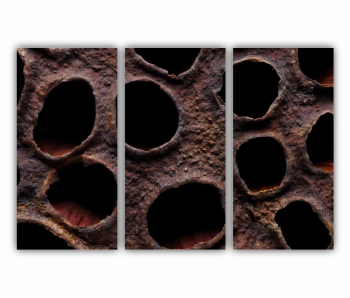 Set 3 Tablouri Multicanvas Floare de lotus uscata 0282 180X120 cm 