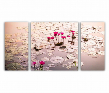 Set 3 Tablouri Multicanvas Floarea de lotus 0275 120X60 cm 