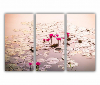 Set 3 Tablouri Multicanvas Floarea de lotus 0275 180X120 cm 