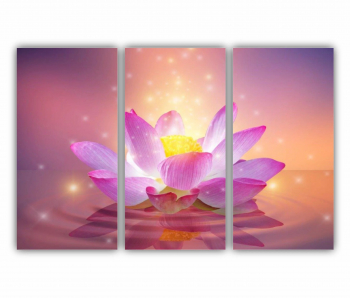 Set 3 Tablouri Multicanvas Floarea de lotus 0281 180X120 cm 