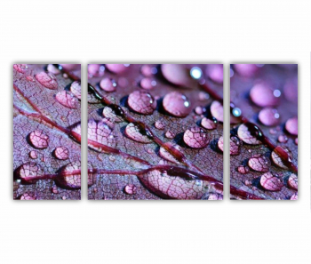 Set 3 Tablouri Multicanvas frunze cu apa 0509 120X60 cm 