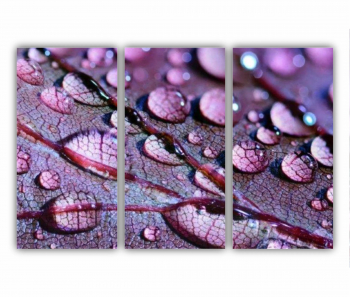 Set 3 Tablouri Multicanvas frunze cu apa 0509 180X120 cm 
