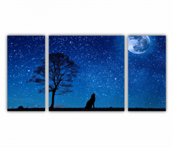 Set 3 Tablouri Multicanvas Lupul si luna 0486 120X60 cm