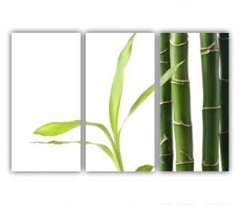 Set 3 Tablouri Multicanvas Relaxare Spa 0871 180X120 cm 