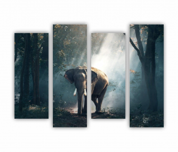 Set 4 Tablouri Multicanvas Elefant 0395 160X120 cm