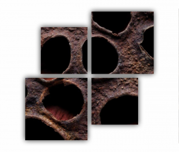 Set 4 Tablouri Multicanvas Floare de lotus uscata 0282 160X160 cm 