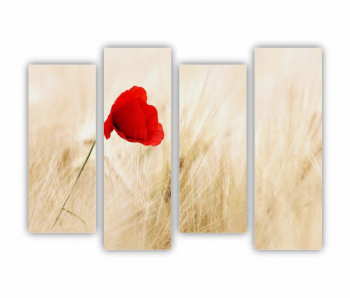 Set 4 Tablouri Multicanvas Floare rosie 0266 160X120 cm 