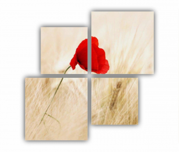 Set 4 Tablouri Multicanvas Floare rosie 0266 160X160 cm 