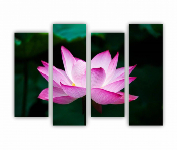 Set 4 Tablouri Multicanvas Floarea de lotus 0262 160X120 cm 