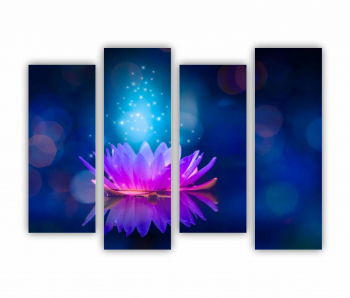 Set 4 Tablouri Multicanvas Floarea de lotus 0279 160X120 cm 