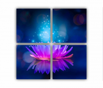 Set 4 Tablouri Multicanvas Floarea de lotus 0279 80X80 cm 