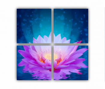 Set 4 Tablouri Multicanvas Floarea de lotus 0280 80X80 cm 