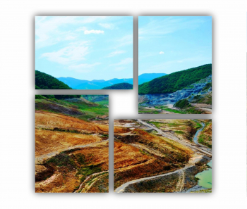 Set 4 Tablouri Multicanvas Natura 0007 70X70 cm 