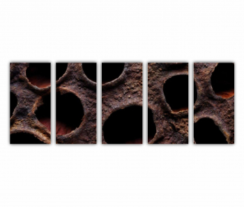 Set 5 Tablouri Multicanvas Floare de lotus uscata 0282 200X80 cm 