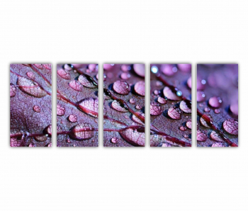 Set 5 Tablouri Multicanvas frunze cu apa 0509 200X80 cm 