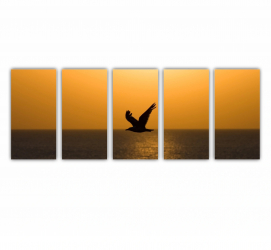 Set 5 Tablouri Multicanvas O silueta de pescarus 0004 200X80 cm 