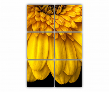 Set 6 Tablouri Multicanvas Camp de floarea soarelui 3 0073 80X120 cm 