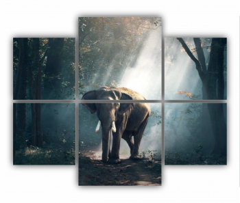 Set 6 Tablouri Multicanvas Elefant 0395 100X80 cm 