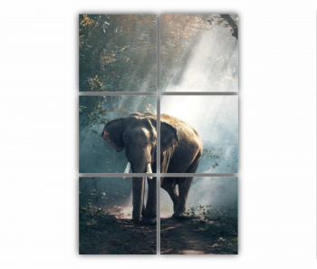 Set 6 Tablouri Multicanvas Elefant 0395 80X120 cm 