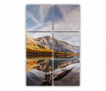 Set 6 Tablouri Multicanvas Flamingo roz 0400 80X120 cm