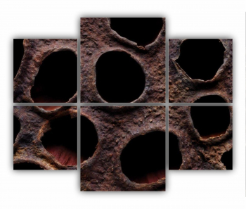 Set 6 Tablouri Multicanvas Floare de lotus uscata 0282 100X80 cm