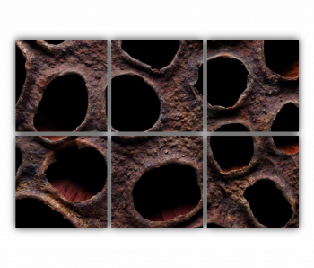 Set 6 Tablouri Multicanvas Floare de lotus uscata 0282 120X80 cm 