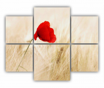 Set 6 Tablouri Multicanvas Floare rosie 0266 100X80 cm 