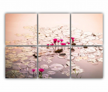 Set 6 Tablouri Multicanvas Floarea de lotus 0275 120X80 cm 