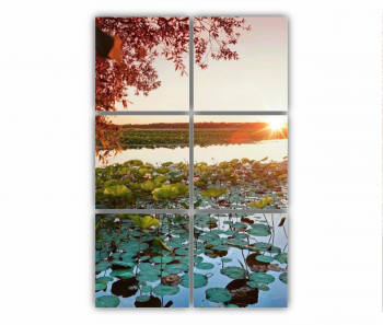 Set 6 Tablouri Multicanvas Floarea de lotus 0276 80X120 cm 