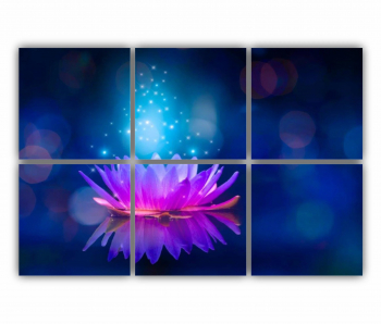 Set 6 Tablouri Multicanvas Floarea de lotus 0279 120X80 cm 