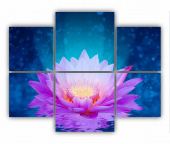 Set 6 Tablouri Multicanvas Floarea de lotus 0280 100X80 cm 