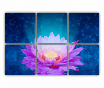 Set 6 Tablouri Multicanvas Floarea de lotus 0280 120X80 cm 