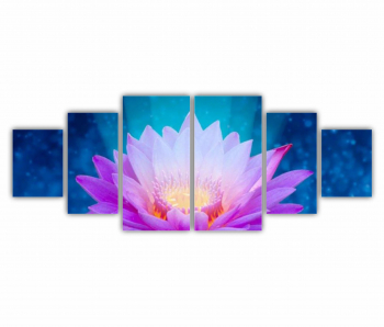 Set 6 Tablouri Multicanvas Floarea de lotus 0280 200X80 cm 