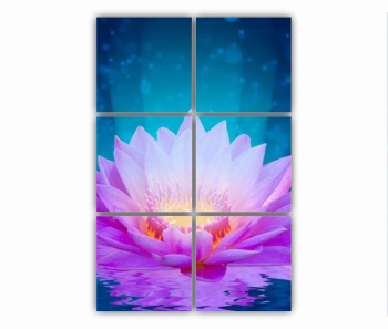 Set 6 Tablouri Multicanvas Floarea de lotus 0280 80X120 cm 